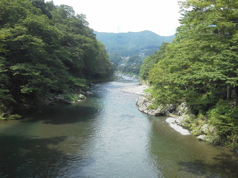 夏の終わりの青梅、そして国分寺［義蕎］_b0050651_135445.jpg