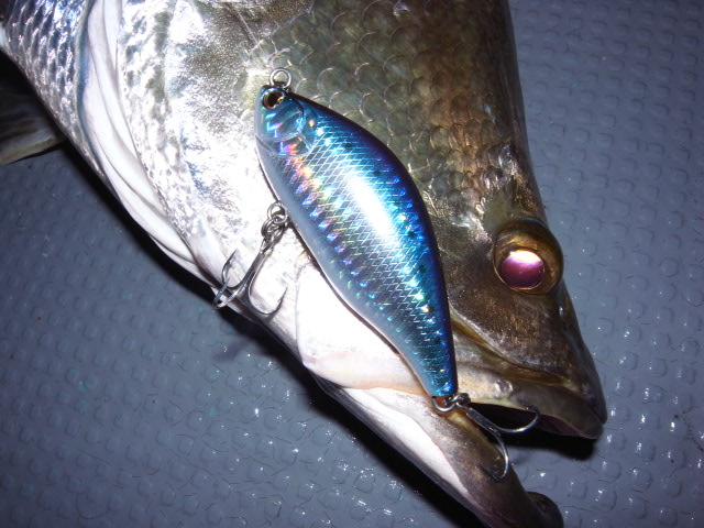 c0153951_1703662.jpg