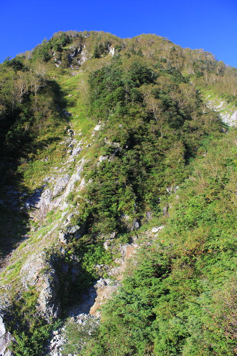 a0248459_1854670.jpg