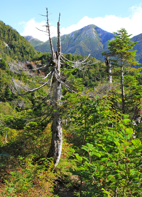 a0248459_192519.jpg