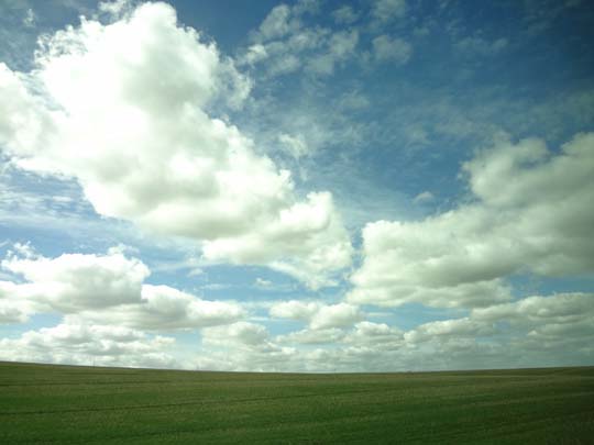 f0217564_1910522.jpg
