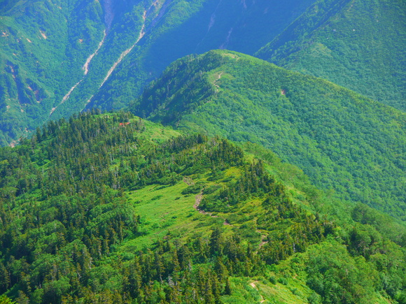 e0244967_174492.jpg