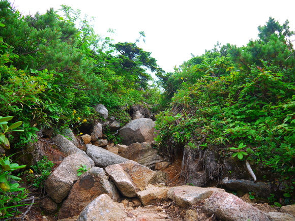 e0244967_1762090.jpg