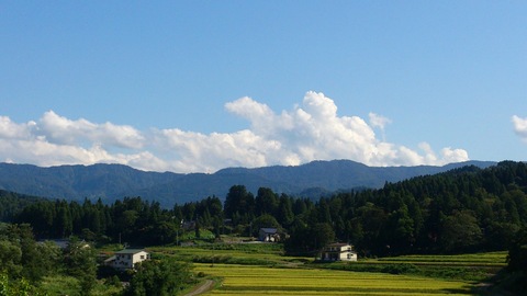 稲刈り進む。_d0182179_16333564.jpg