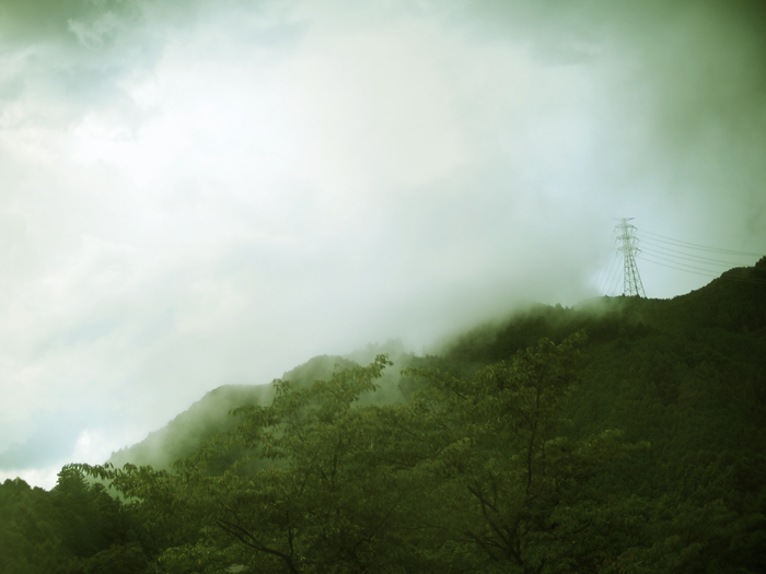 御岳山~お花いろいろ♪~_a0161380_1215452.jpg
