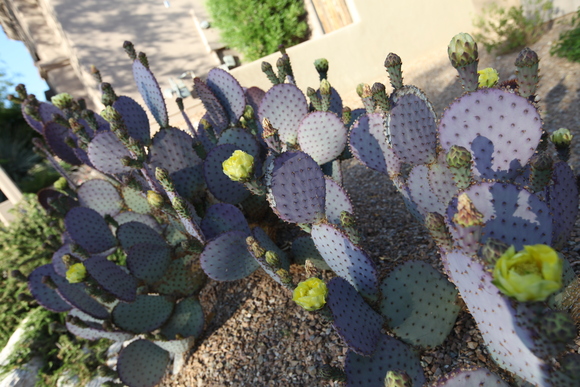 c0026482_1232826.jpg