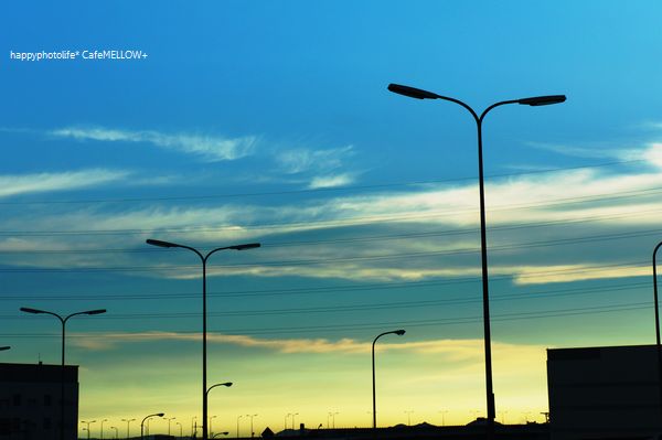 c0211283_66871.jpg