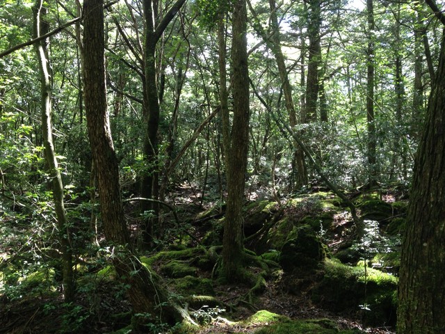 d0138986_104363.jpg