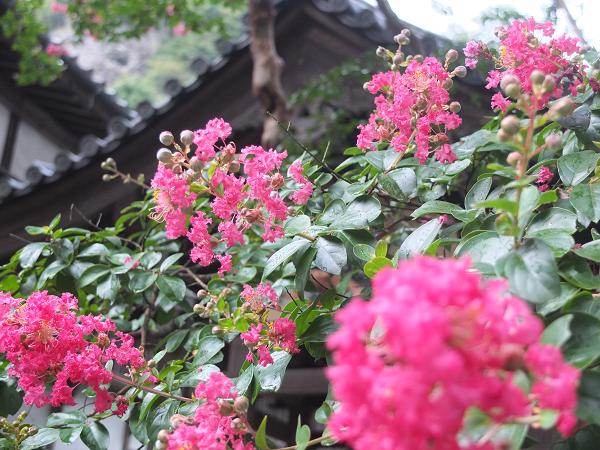 c0046587_21432123.jpg