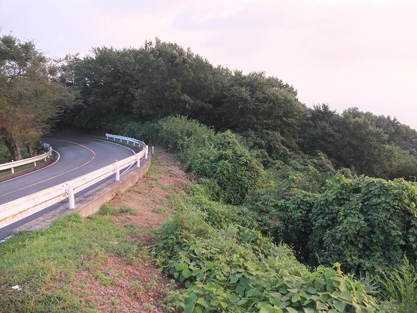 c0046587_21444464.jpg