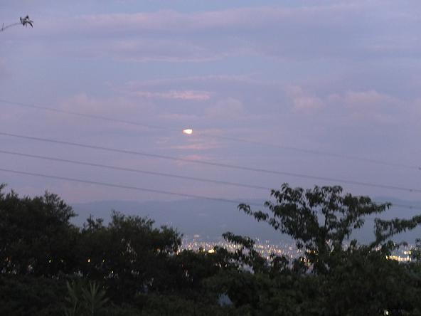 c0046587_21461088.jpg