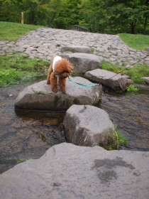 滝野すずらん公園。_c0197791_20455933.jpg