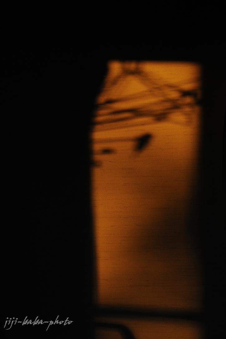 d0239891_172311.jpg