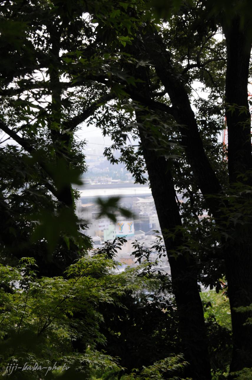 d0239891_1723442.jpg