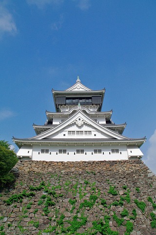 e0176993_750279.jpg