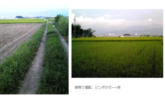 f0212993_22463139.png
