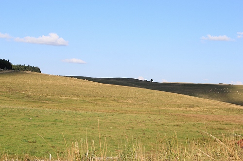 a0241498_701861.jpg