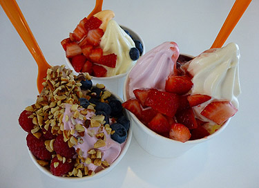 Penguin\'s Frozen Yogurt / Torrance_e0289398_0272649.jpg