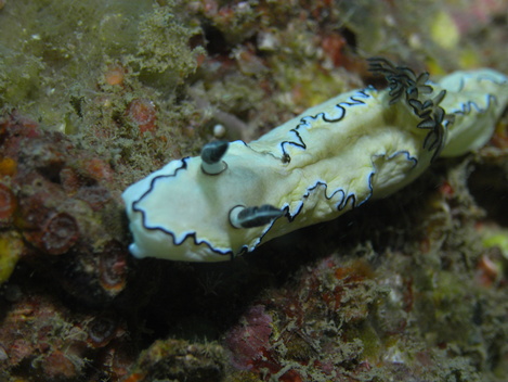 e0115199_0405470.jpg