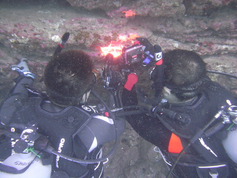 e0115199_044313.jpg