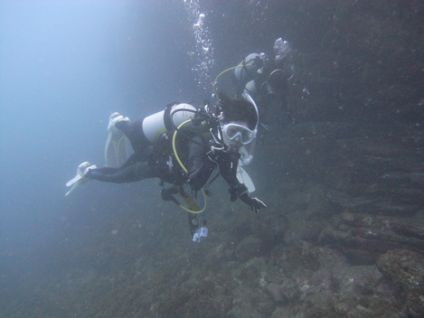 e0115199_045063.jpg
