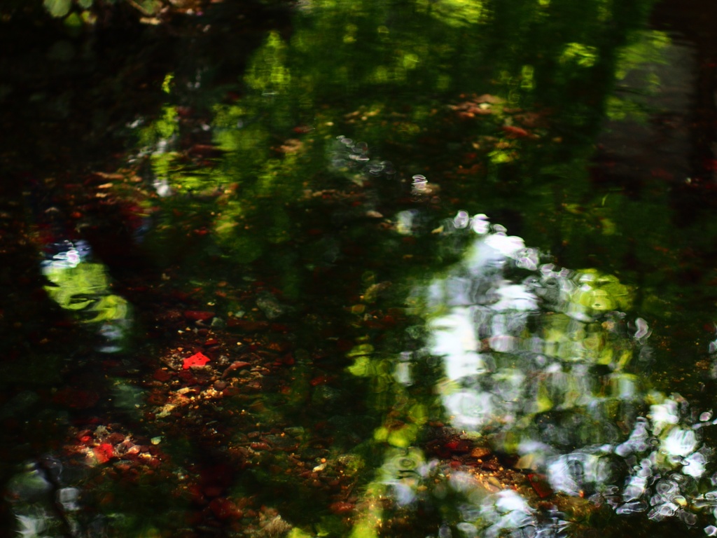 b0138101_7465648.jpg