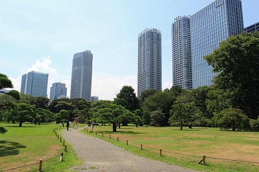 浜離宮恩賜庭園のコスモス（２０１２．９．８撮影）_a0208109_2145555.jpg