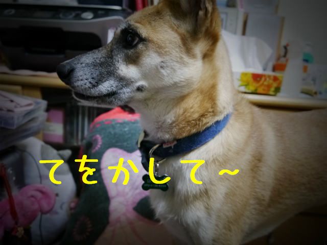 f0218911_2334217.jpg