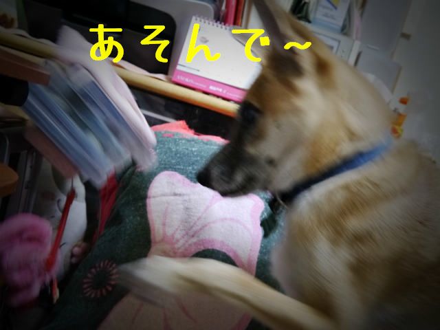 f0218911_2343640.jpg
