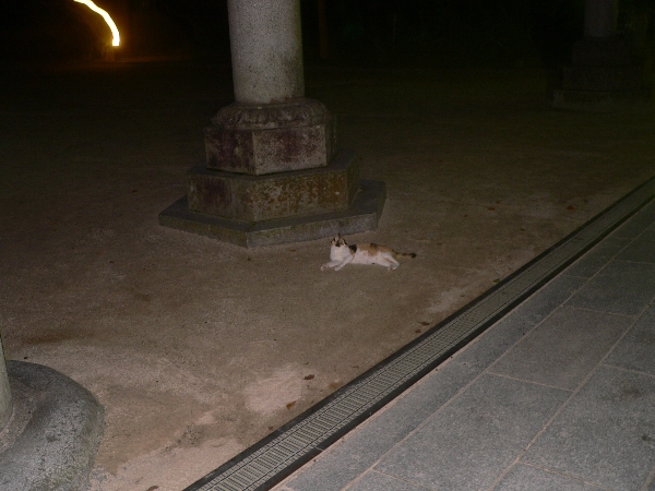 e0002314_1154739.jpg