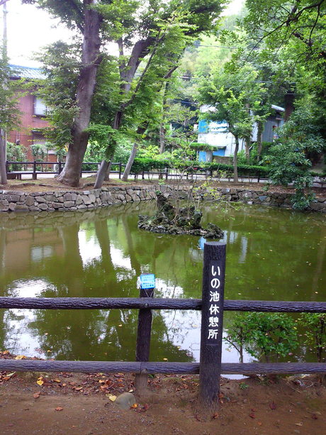 師岡熊野神社と平将門 歴史と素適なおつきあい