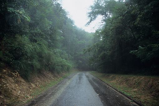 b0259218_5253814.jpg