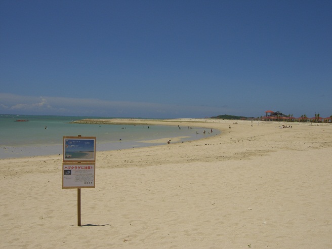 e0071319_21154755.jpg
