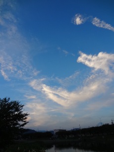a0232921_20332876.jpg