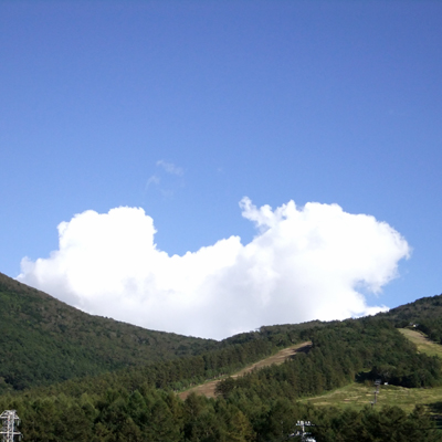 d0107929_8484917.jpg