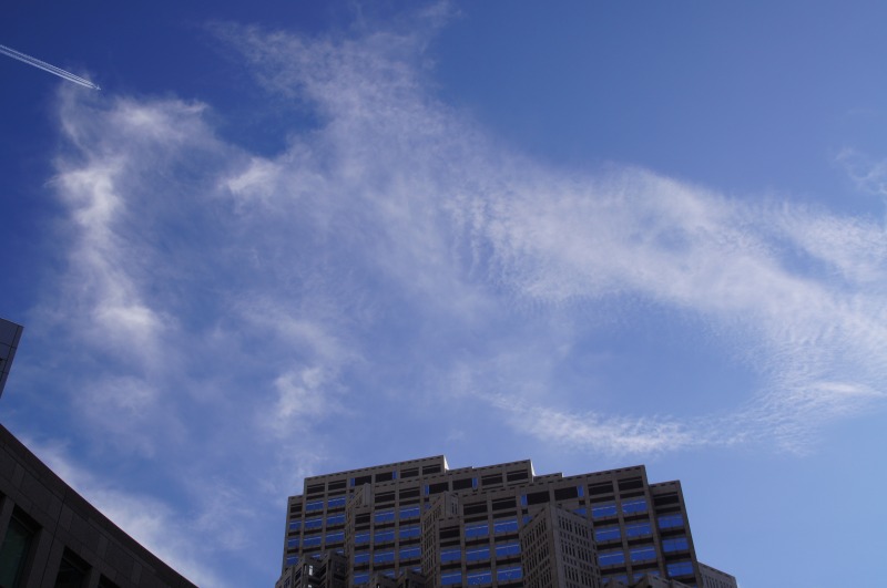 残暑の空・雲いろいろ_a0122932_21452767.jpg