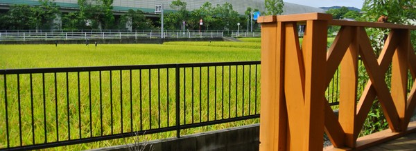 d0170835_9311049.jpg