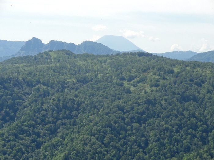 d0235336_2034667.jpg
