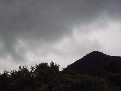 a0054240_2314630.jpg