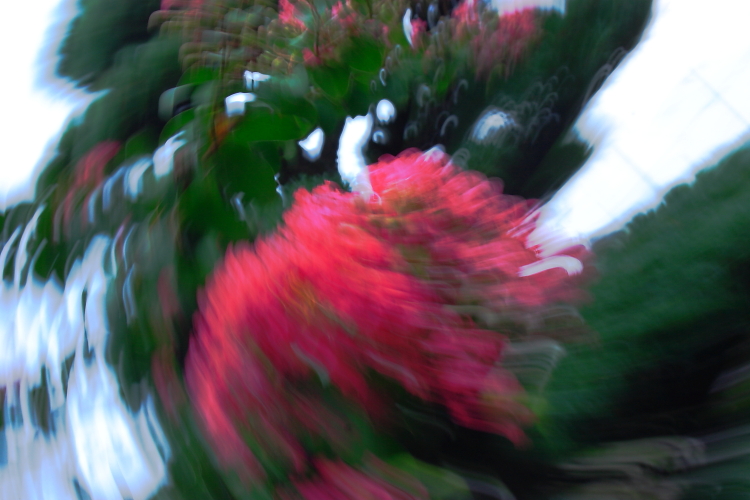 d0247340_171623100.jpg