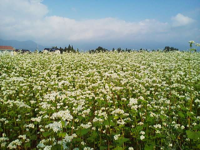 a0272241_14503220.jpg