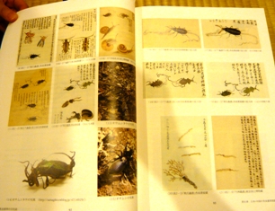 冬虫夏草の文化誌_e0230141_12595042.jpg