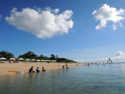 d0142944_0261187.jpg