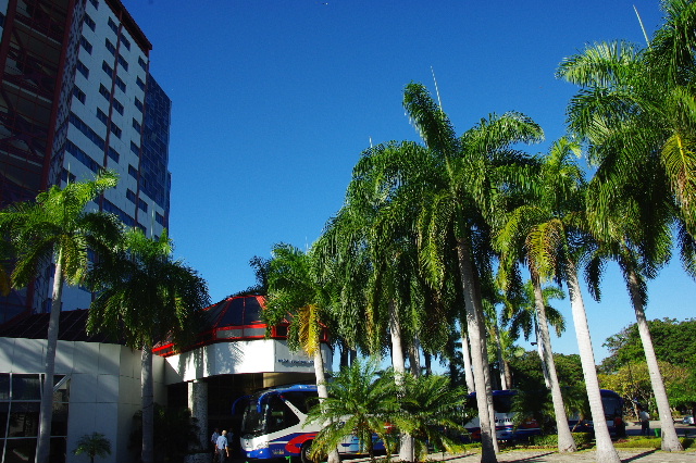 c0011649_726097.jpg
