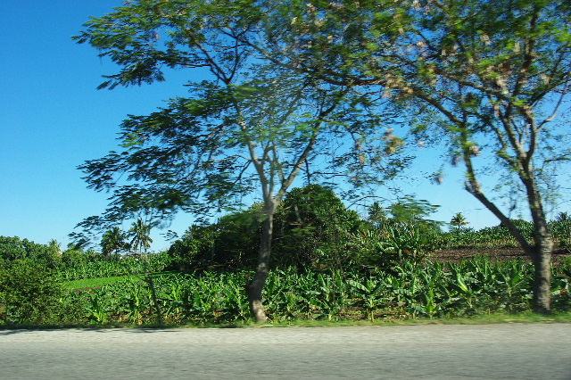c0011649_7282225.jpg