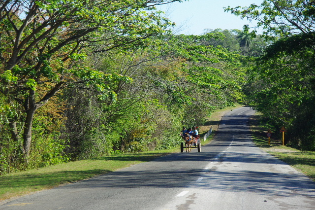 c0011649_7295164.jpg