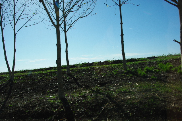 c0011649_7314674.jpg