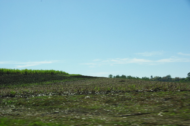 c0011649_7332766.jpg