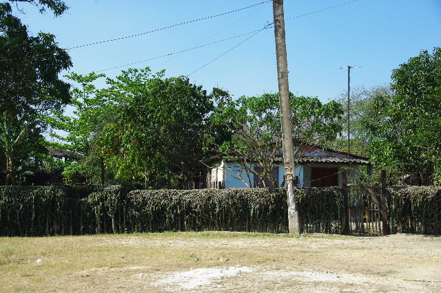 c0011649_7361187.jpg