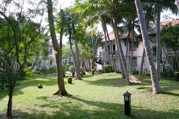 b0025850_19355730.jpg
